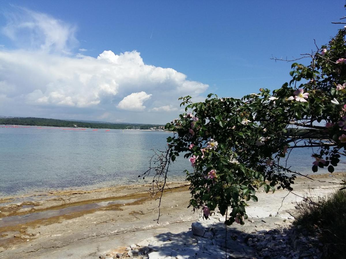 Dom Loron Apartment Porec Bagian luar foto