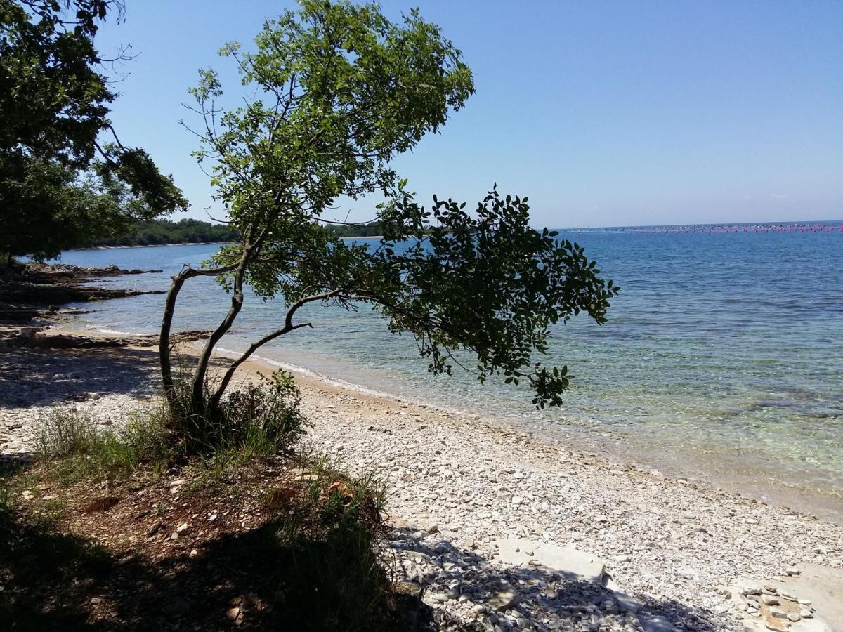 Dom Loron Apartment Porec Bagian luar foto